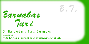 barnabas turi business card